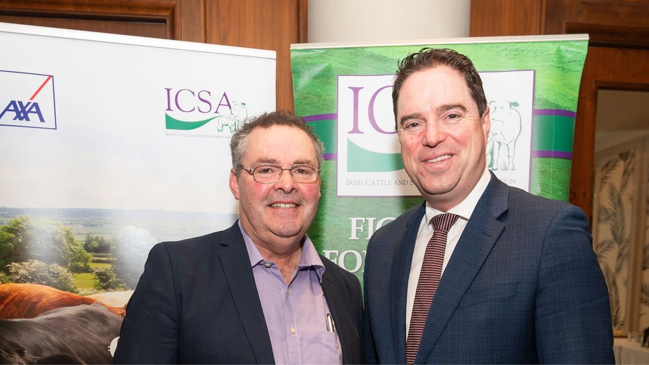 ICSA: Bring beef factories before Oireachtas over price 'collapse'