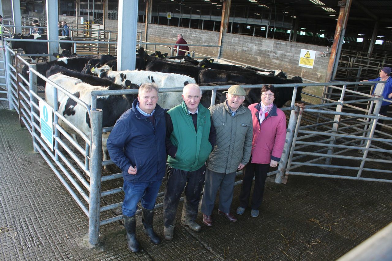 Irish farmers help lift families out of poverty worldwide