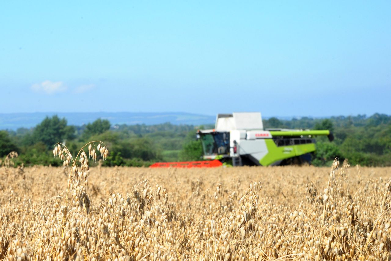 Flahavan's launches 2023 Oat Grower of the Year award