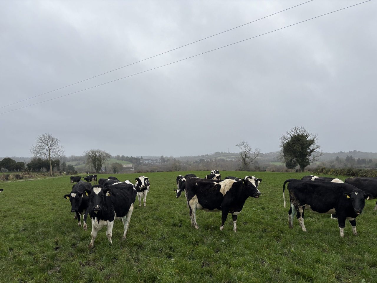 How are farmers getting on with spring grazing?