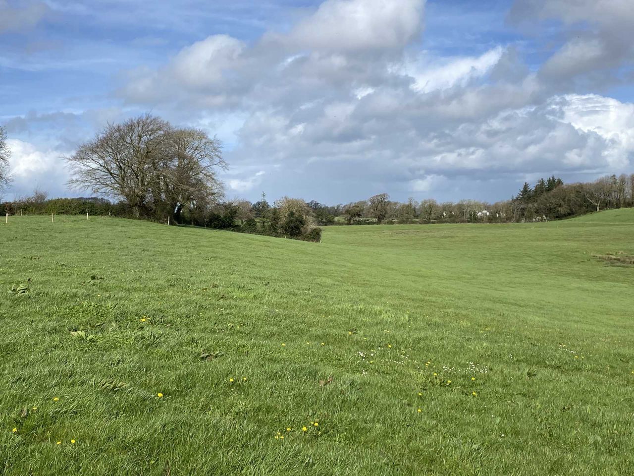 39ac Pallaskenry 'trophy holding' for sale