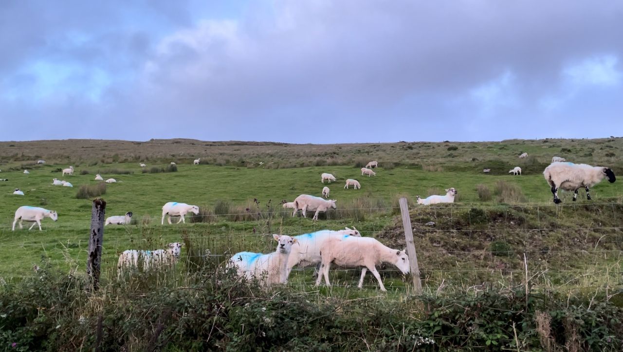 Met Éireann: Mixed weather with cooler temperatures this week