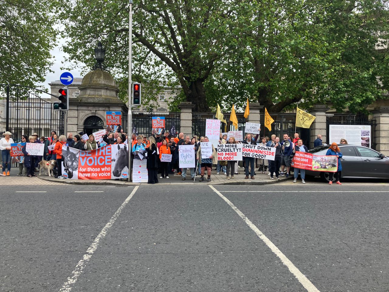 Watch: Protesters at Dáil call for permanent closure of horse abattoir