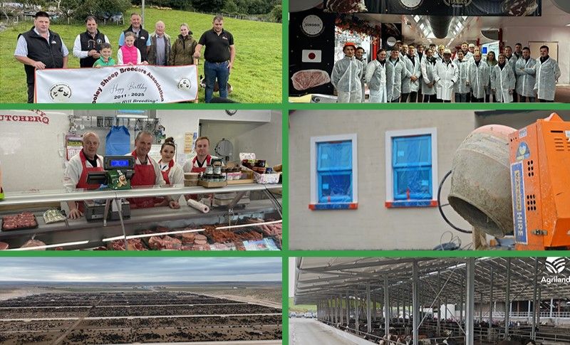 Rural focus revisit: A look back at some of the 2025 focus stories
