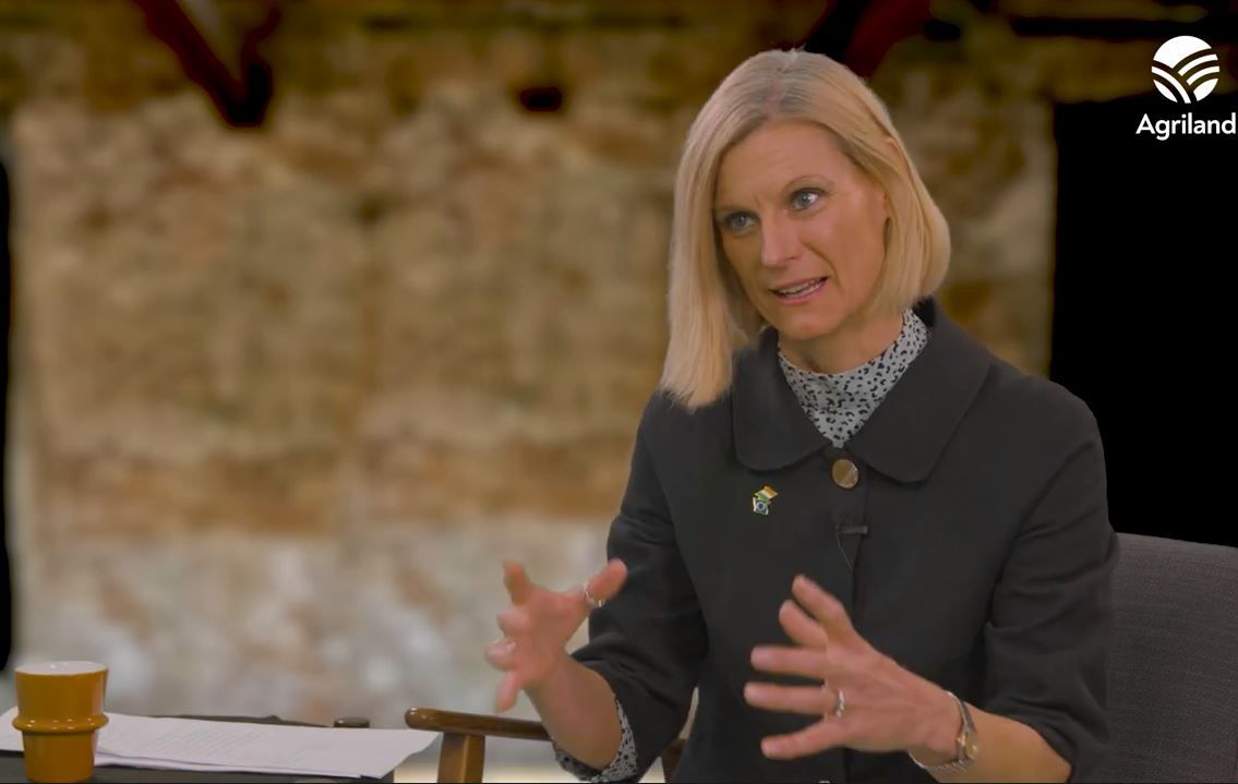 Hackett: Issue with TAMS-funded solar panels 'must be looked at'