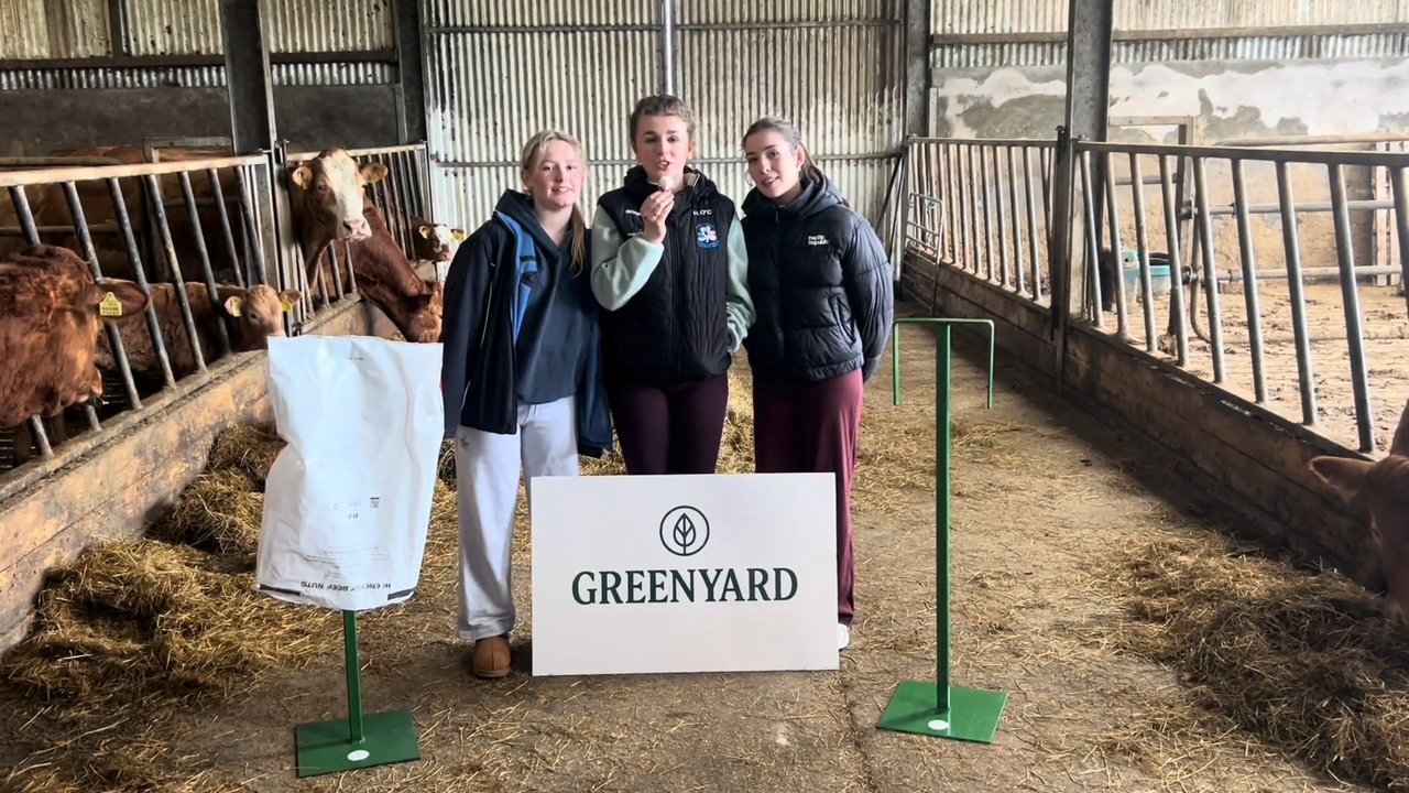 Watch: Westmeath students tackle farm waste with TY mini company