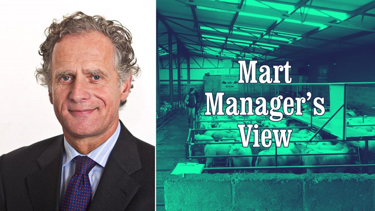'Heavy lambs are €18-20/head dearer than this time last year' - Tom Potterton