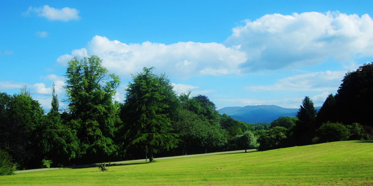 100ac estate with farmland 'suitable for both tillage and livestock' ready for the off