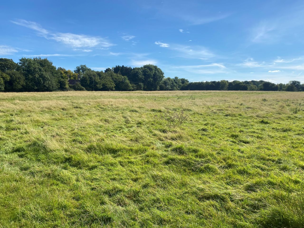 'Attractive' parcel of land in Sallins for auction