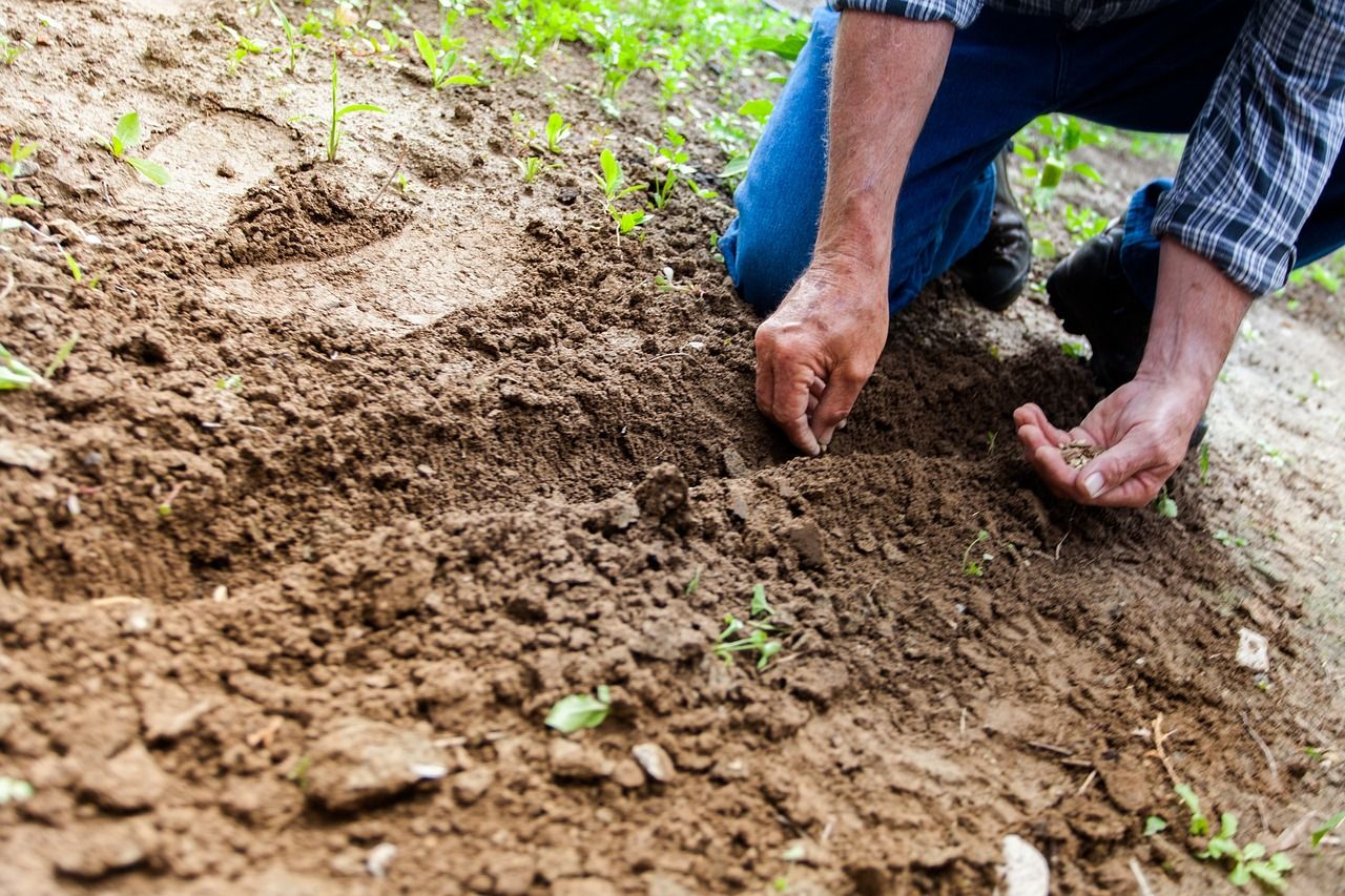 Extension granted for soil sampling and analysis programme