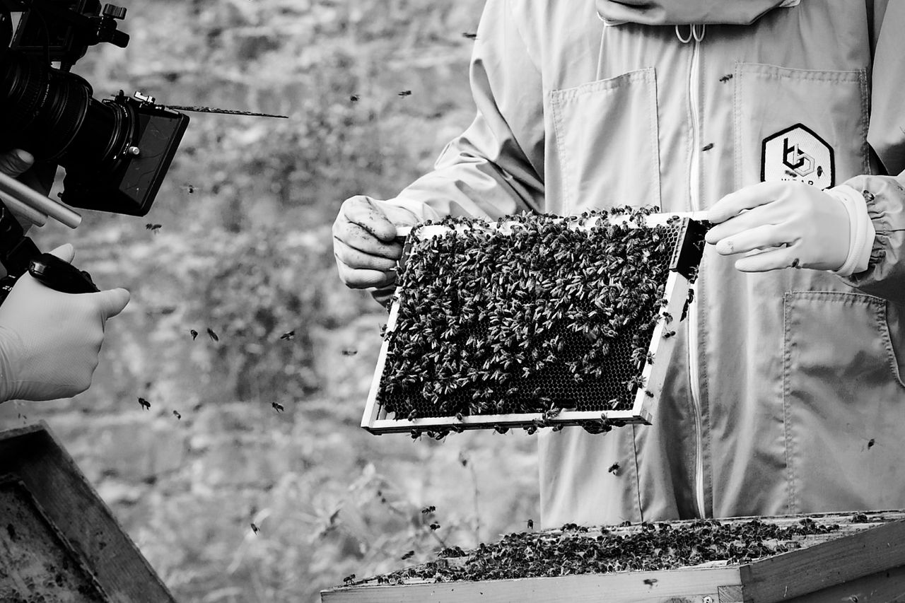 Cork agtech company revolutionising beekeeping