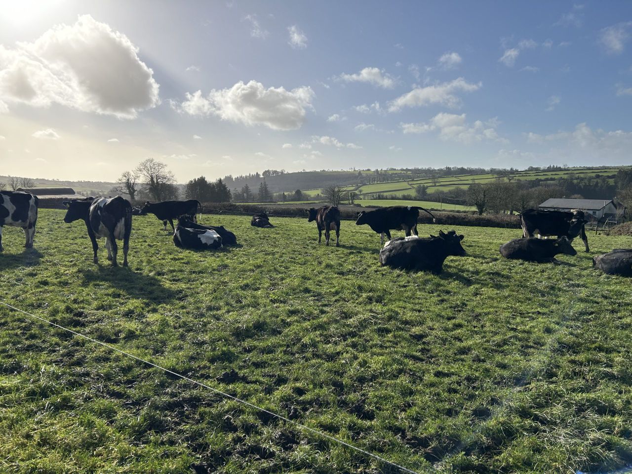 Waterford farmer: Spring grass diet worth €3.67 extra/cow