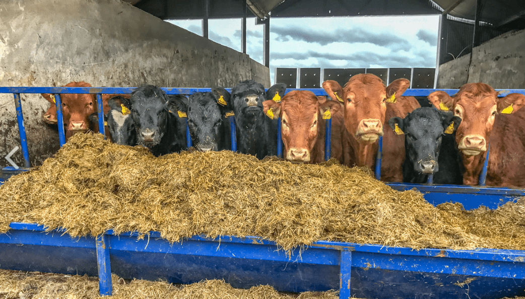 PGI and POs up for discussion at 4th beef taskforce meeting