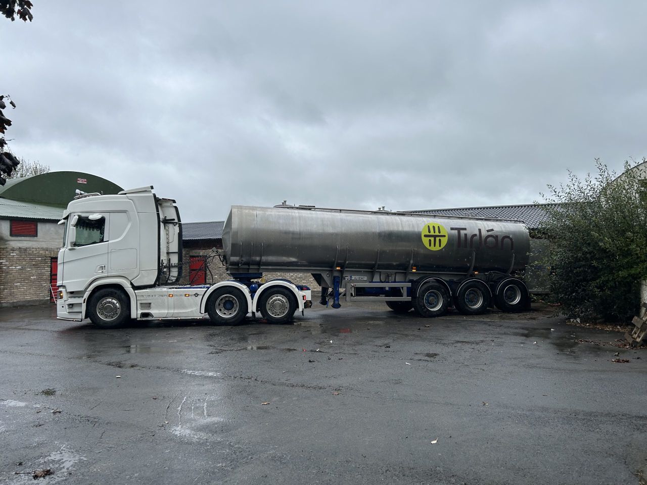 How your milk cheque affects breeding decisions