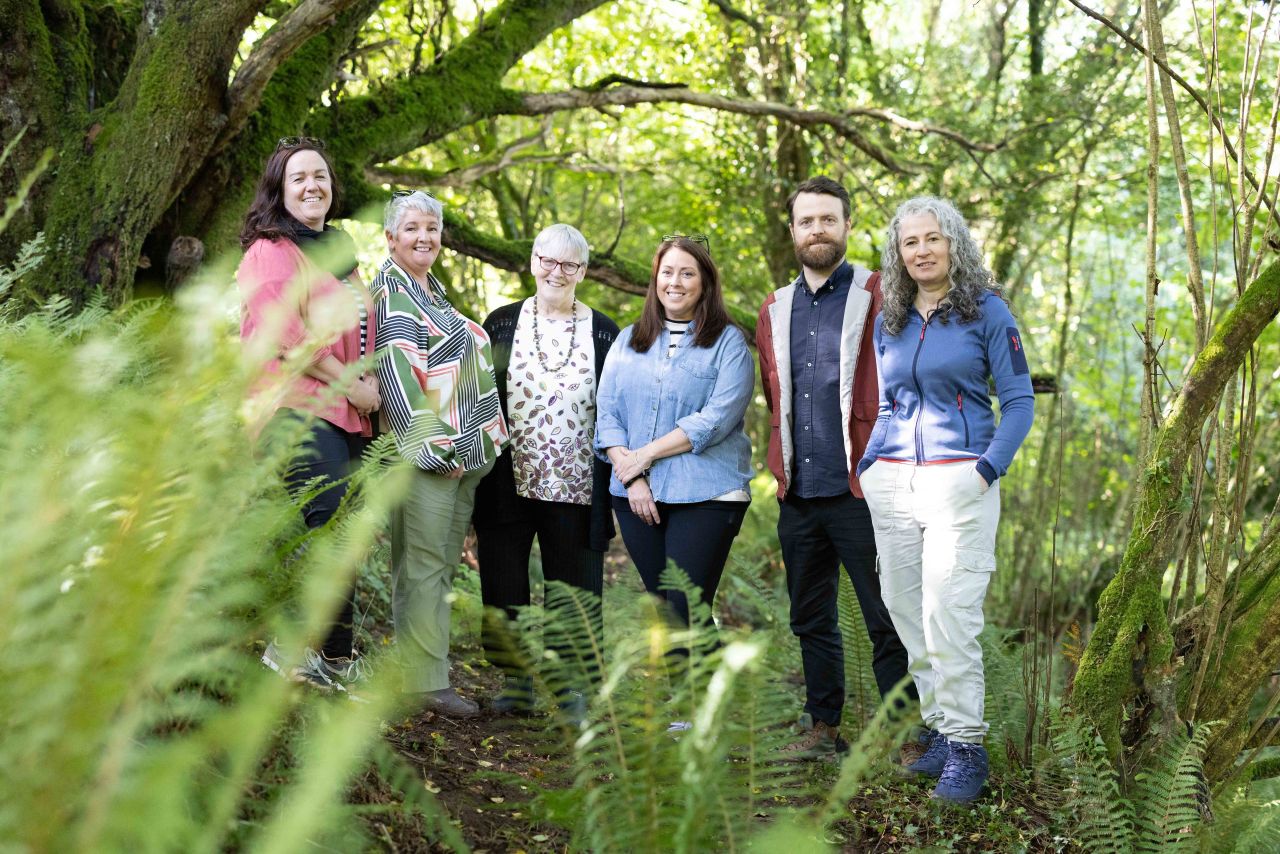 Clare forest to be 'anti-monument' to cervical check scandal