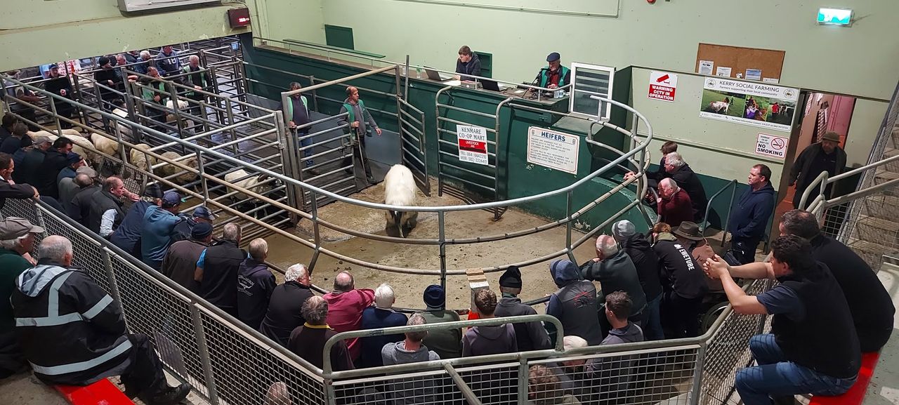 Kenmare Mart to celebrate 30 years in business