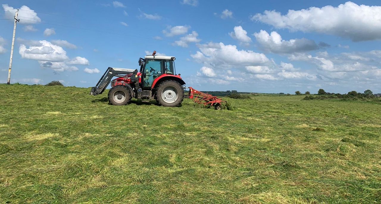 Wilting silage - is it worthwhile?