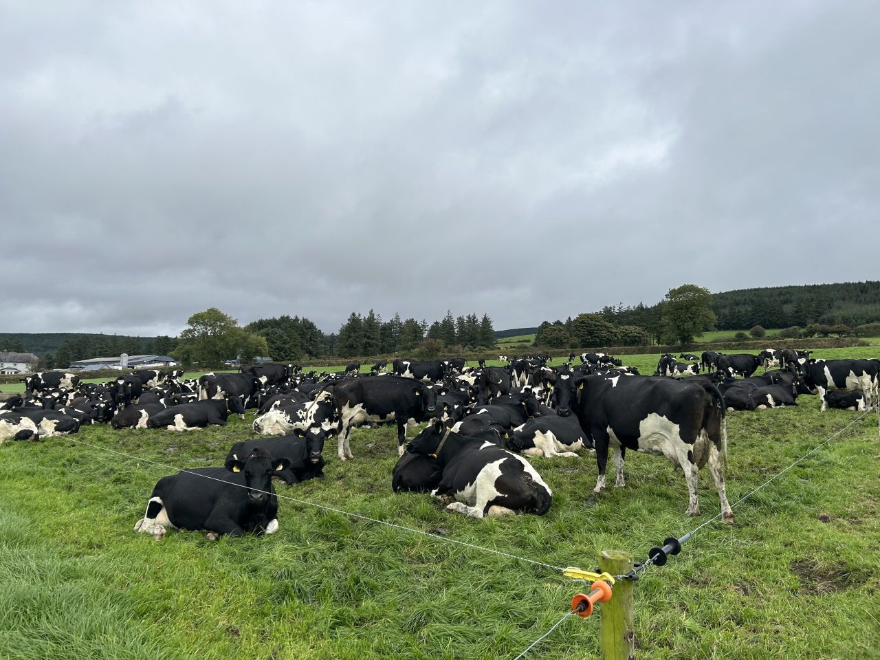 Watch: 584kg MS/cow &amp; improving infrastructure in Co. Waterford