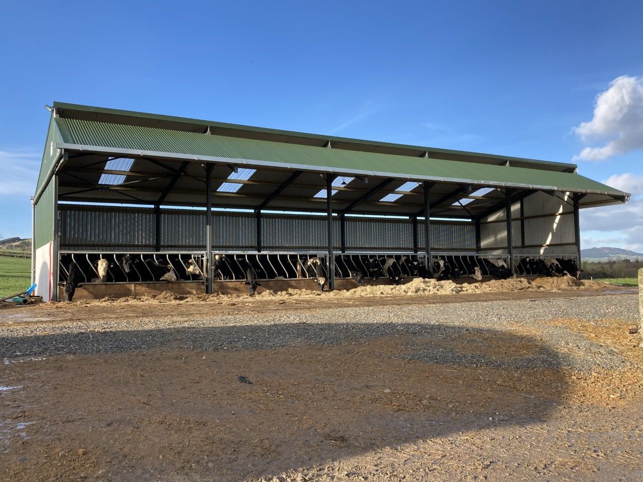 Buildings Focus: New 5-bay slatted unit for an expanding beef finishing enterprise