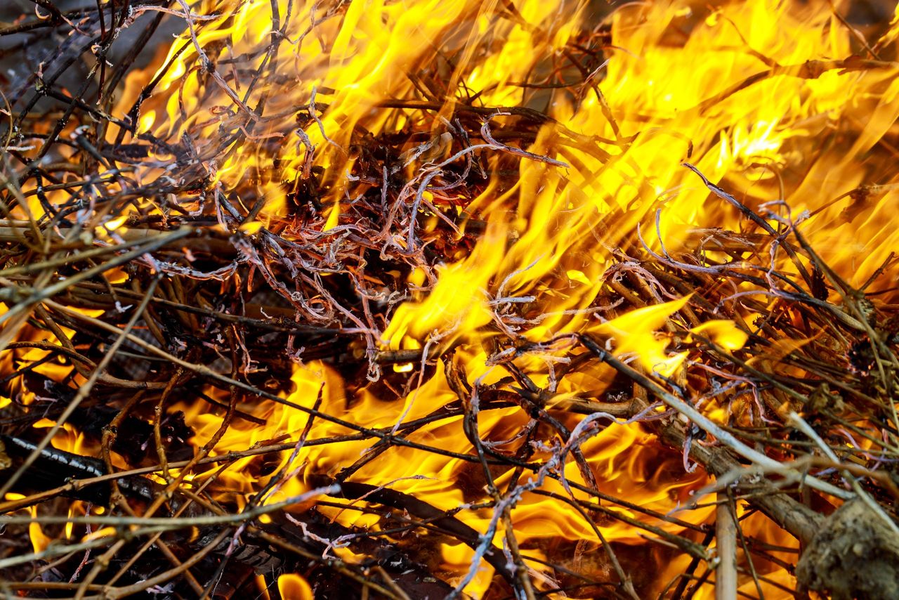 Minister expresses concern about the risk of wild fires