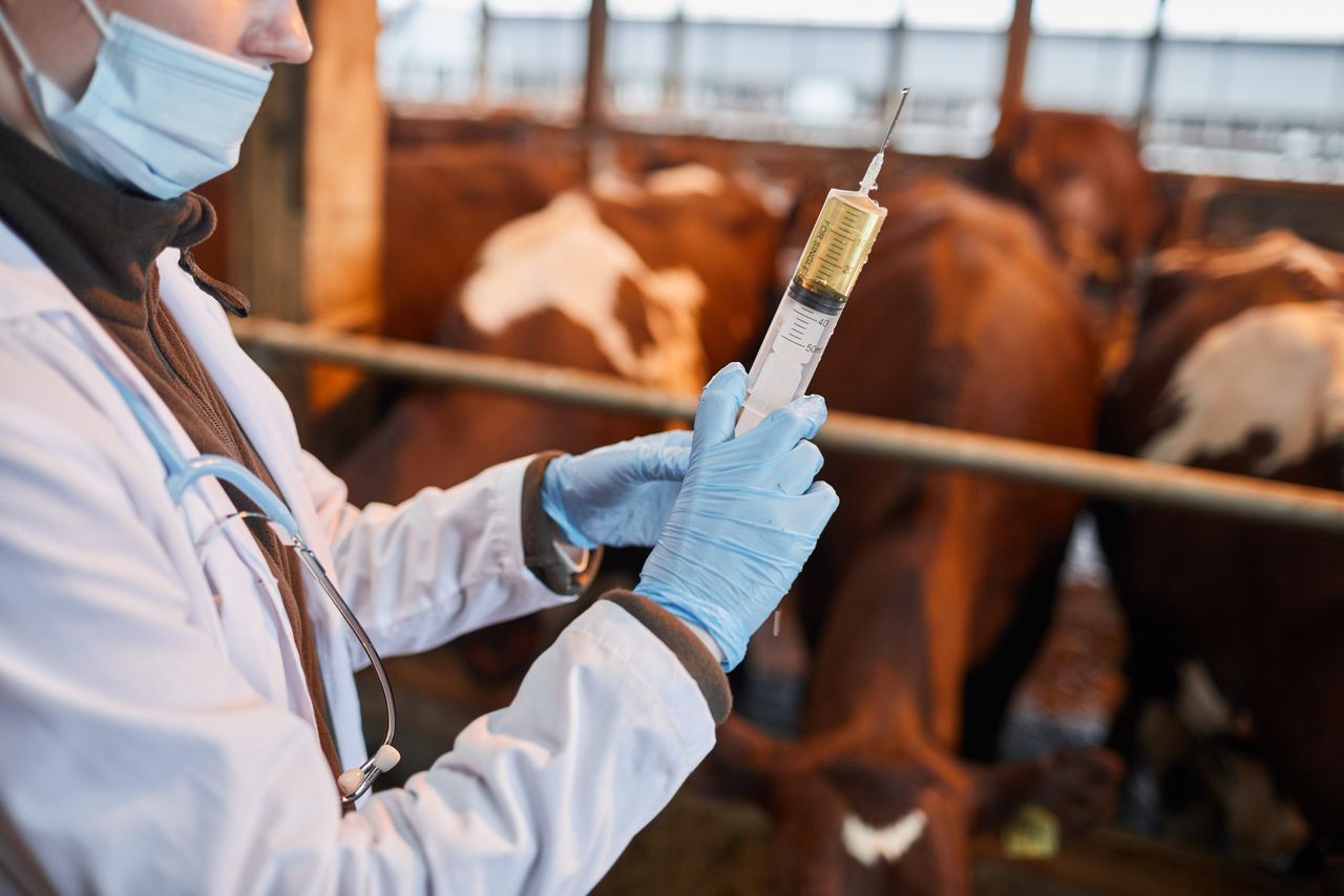 VCI received 29 complaints about a 'single veterinary practitioner' in 2024