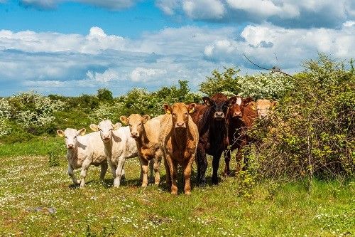 10 Farming for Nature ambassadors announced