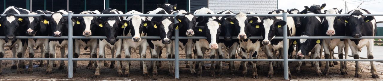 Milk Price Tracker: September sees third month of consecutive cuts