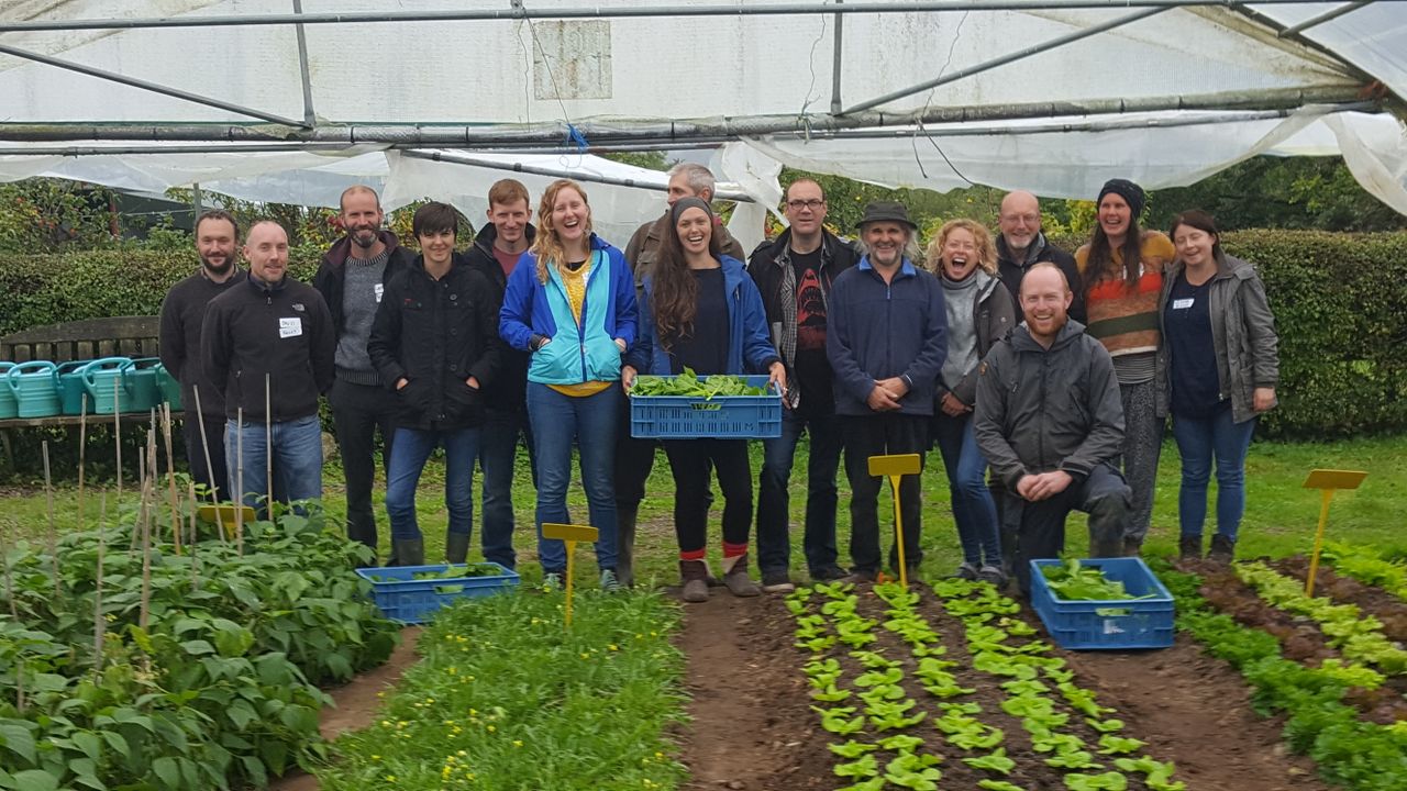 Could you learn from some of Ireland's most creative farmers?