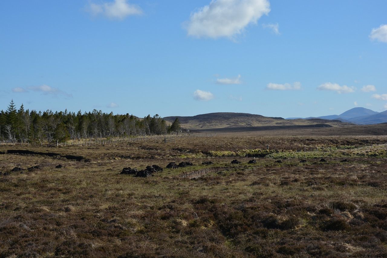 Give EPA more powers to prosecute illegal peat extraction - report