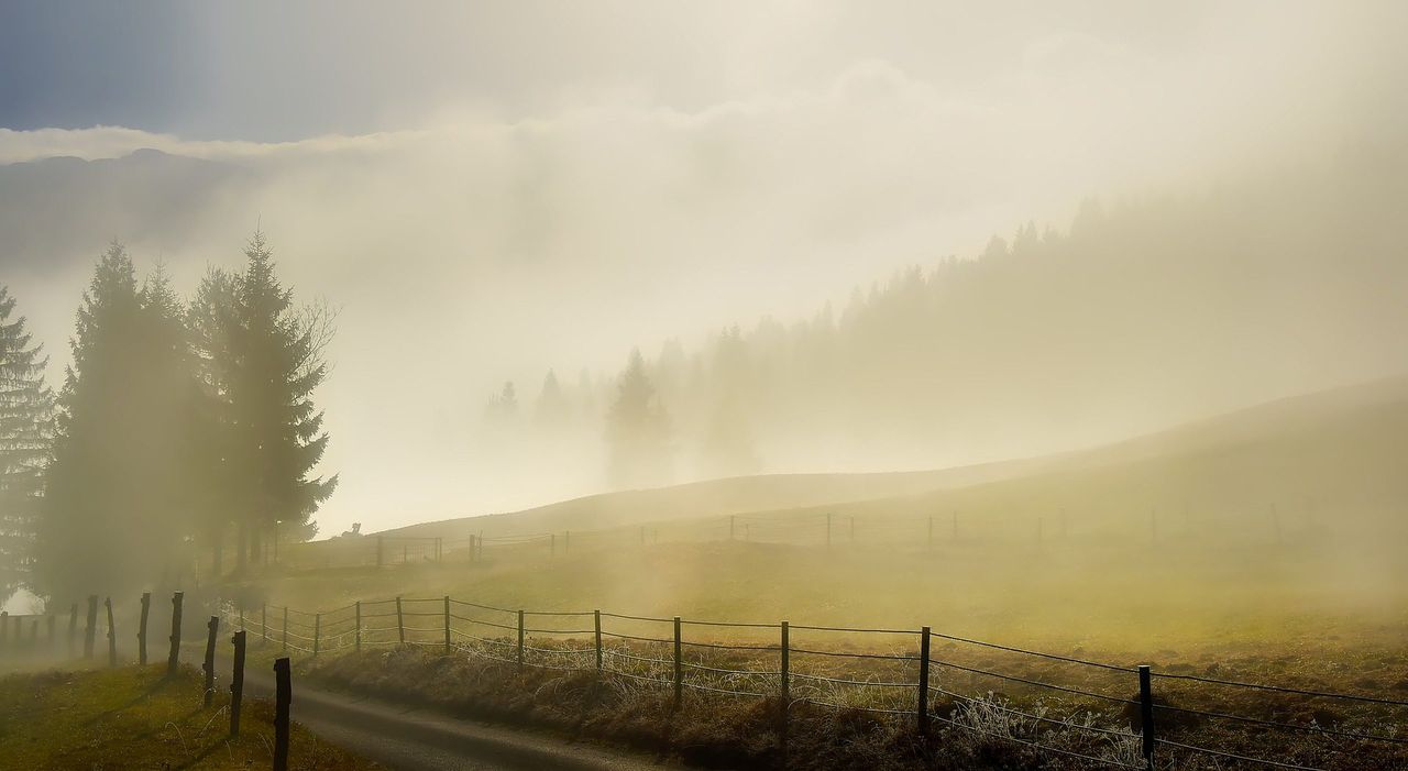 €2.1m approved by EU Commission to support  Slovenian farmers