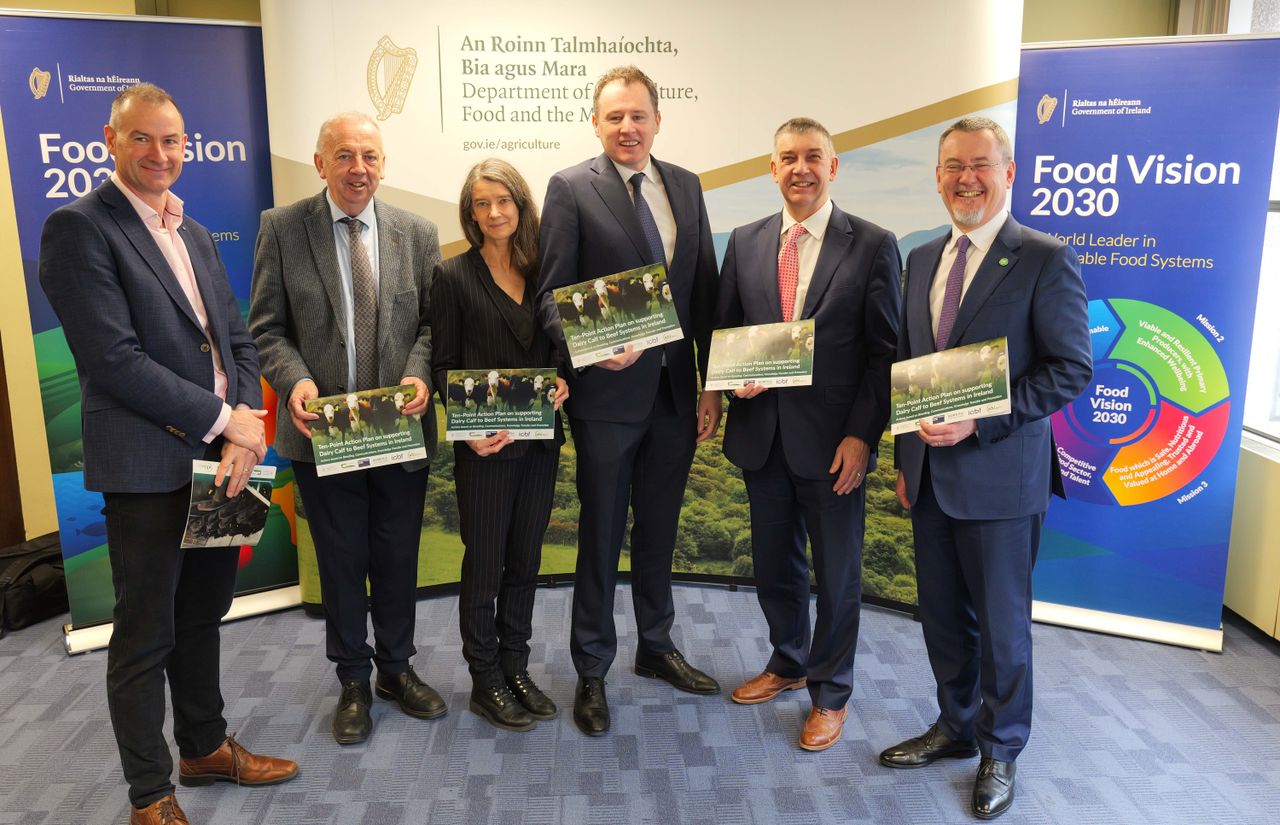 Dairy calf to beef action plan finalised