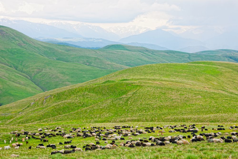 Land eligibility - Minister pursuing options to assist farmers with marginal lands