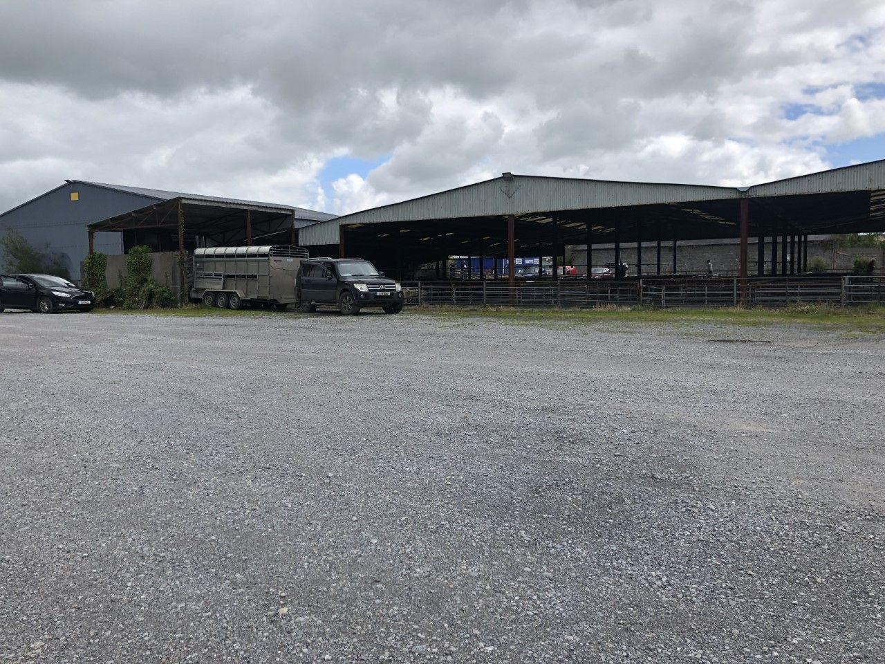 Loughrea Mart death: Mike McLoughlin 'absolutely loved the marts'