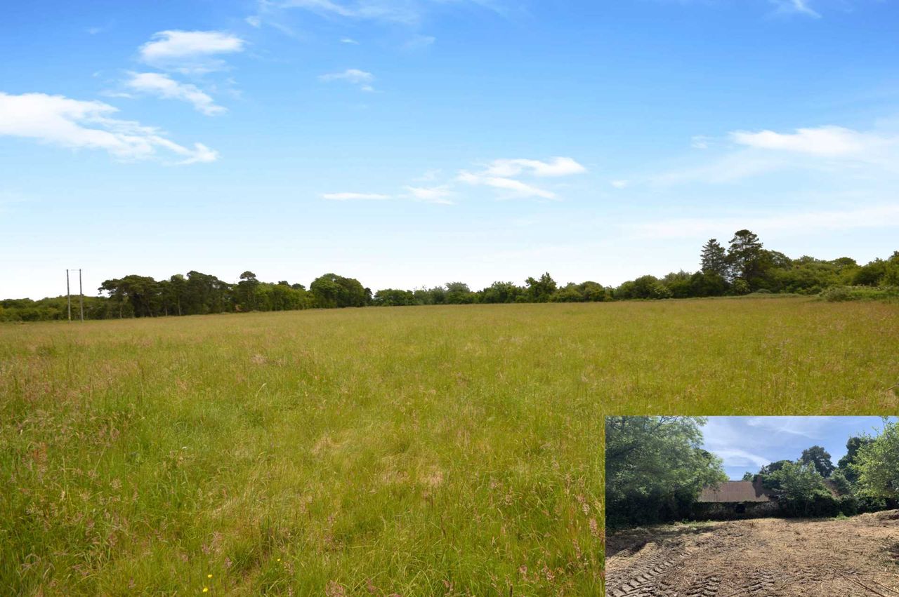 81ac north Wexford property generates keen interest