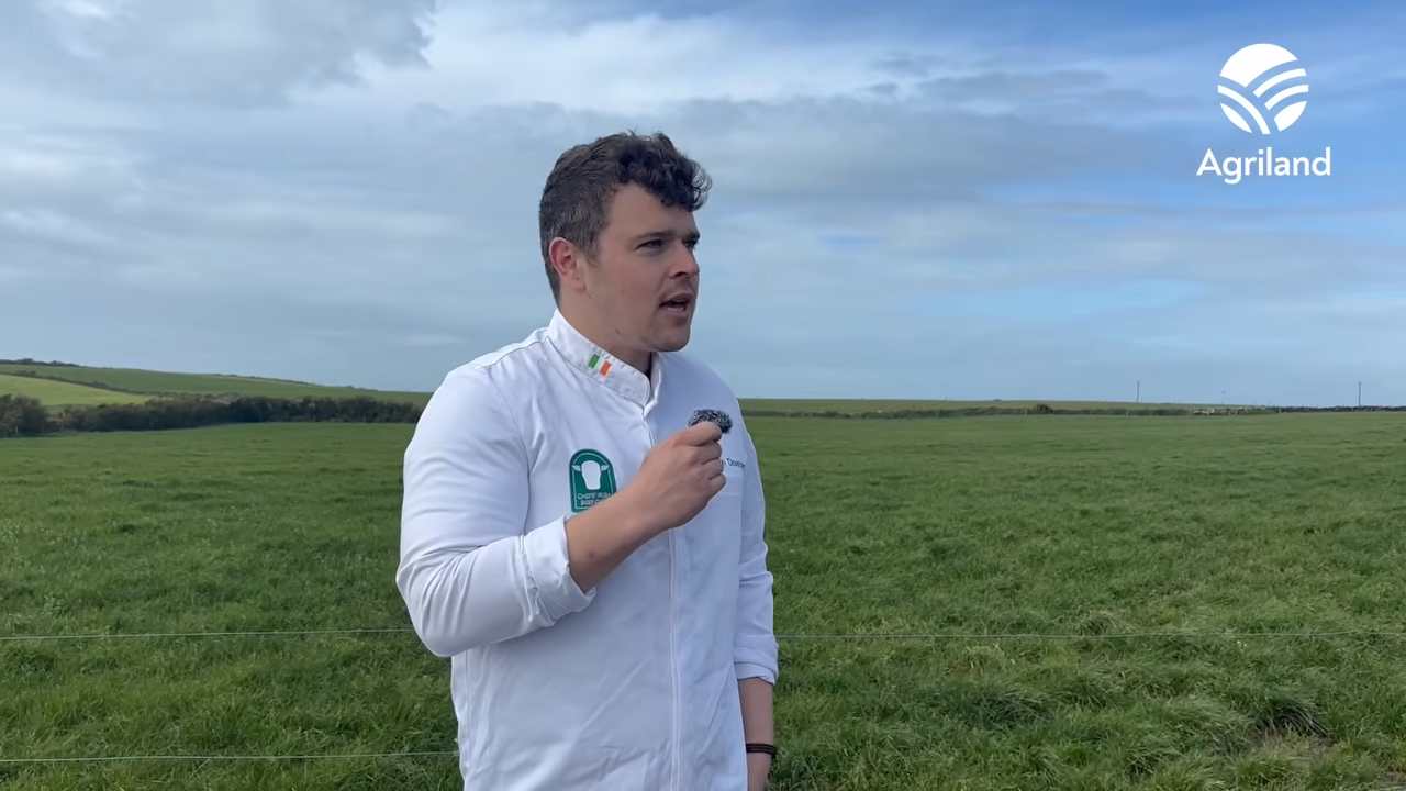 Chefs visit dairy farm in Cork