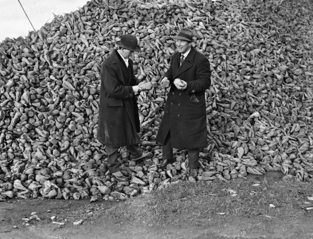 National Archives exhibition highlights sugar beet industry