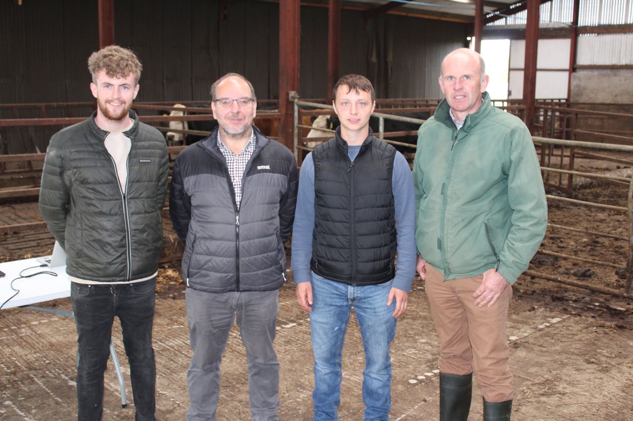 CAFRE dairy survey highlights the main reasons for culling cows