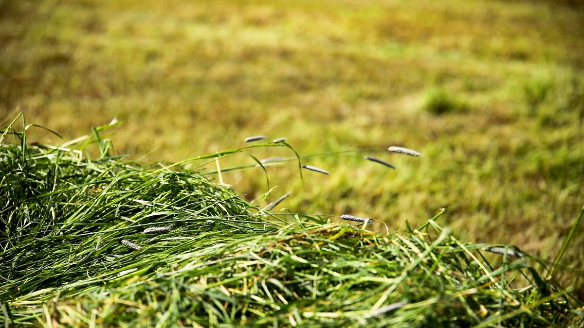 EU GHG reduction target 'underlines importance' of Irish biomethane sector