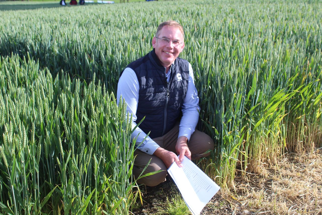 Goldcrop agronomist: John Dunne
