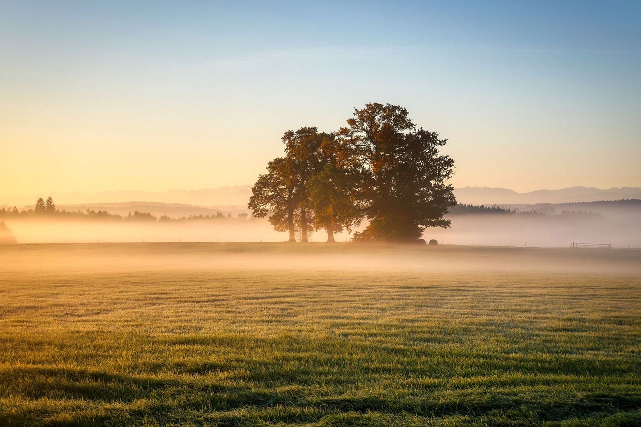 Met Éireann: Mostly dry this week but becoming unsettled