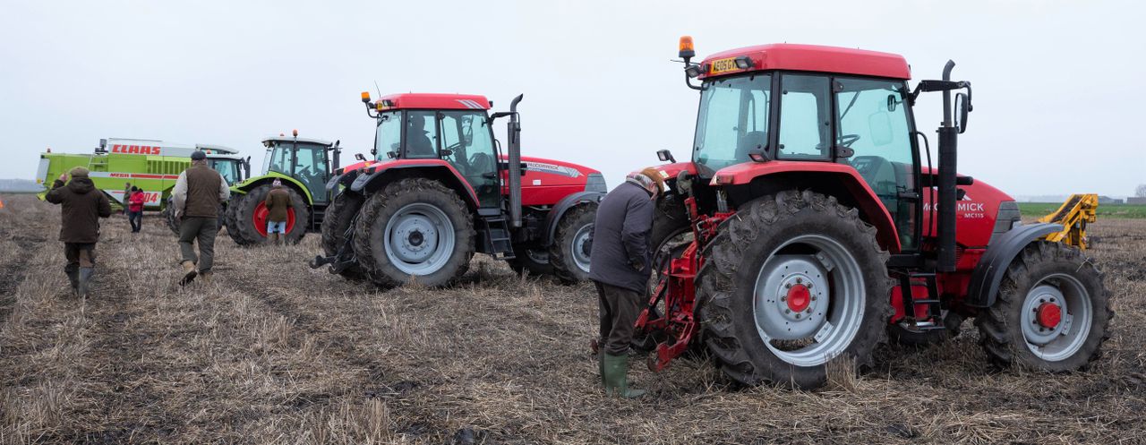 Auction report: Mix of marques goes 'under the hammer' at on-farm sale