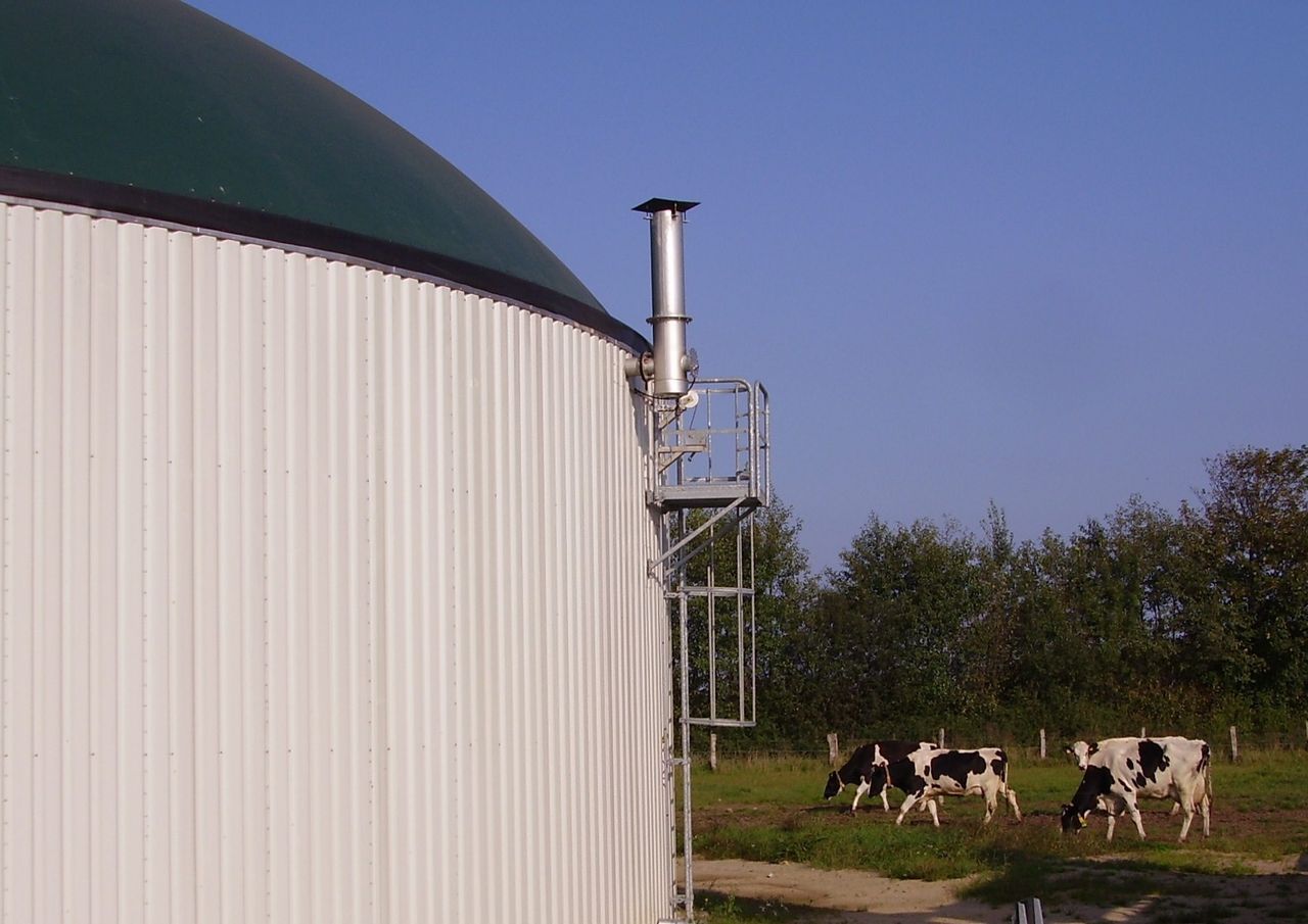 'No request for grant aid' received for anaerobic digestors - minister