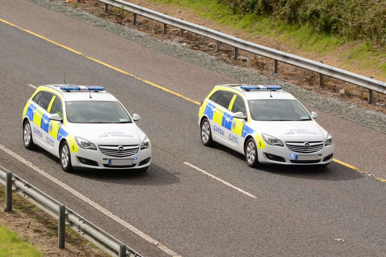 Animals stray onto the M3 motorway in heavy morning traffic
