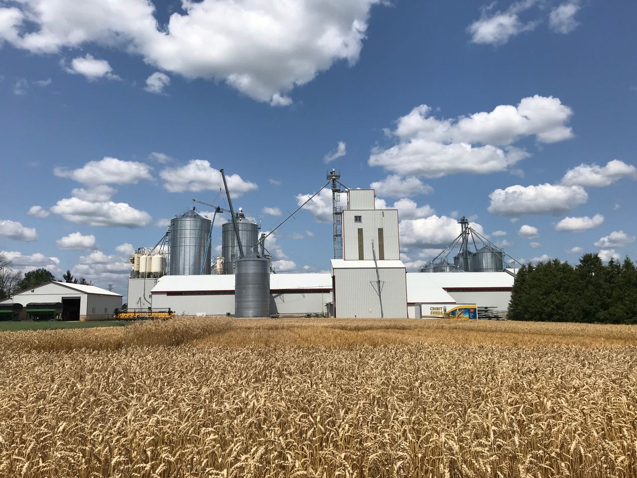 Straw in demand in Canada...price rises by 200%