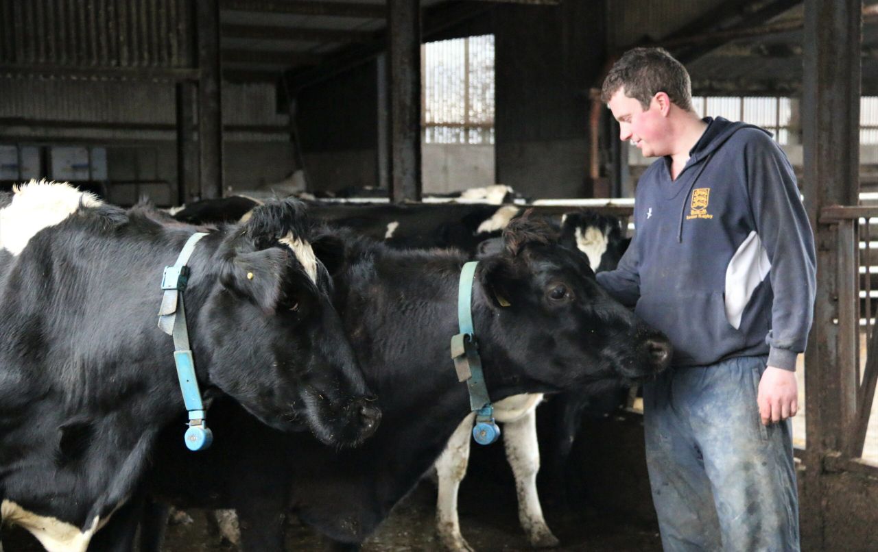 NI indepth: 'New Zealand inspired me to swap sucklers for dairy cows'