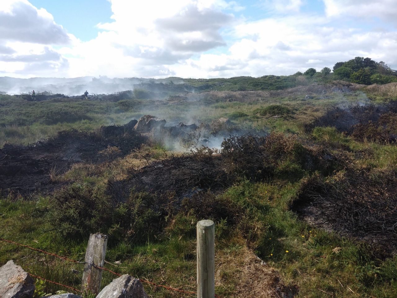 Galway man fined and banned from driving after illegal burning