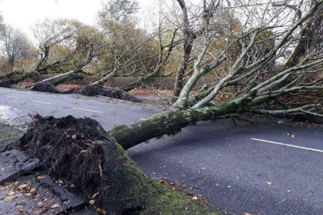 Storm Éowyn: Irish Rural Link calls for 'heightened vigilance'
