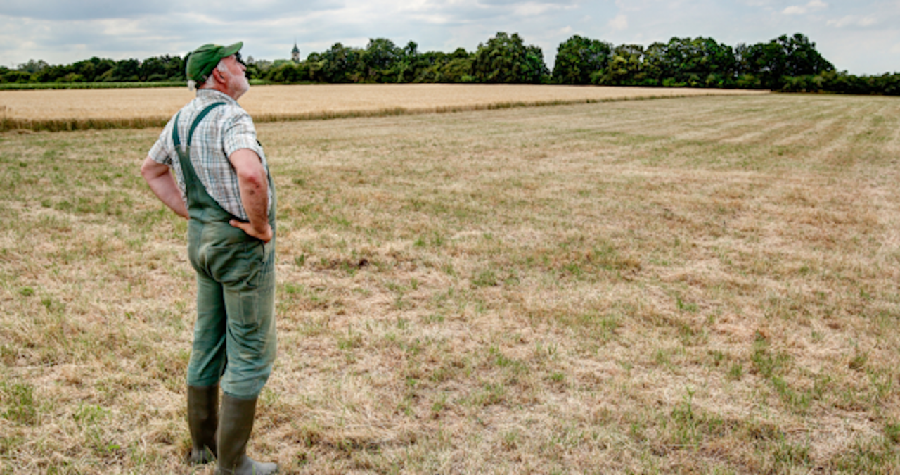Agri-advisors help to guide support services for farmers