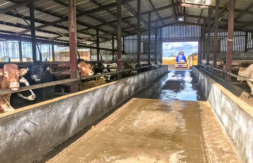 Feedlots: What are the views of the farm bodies?