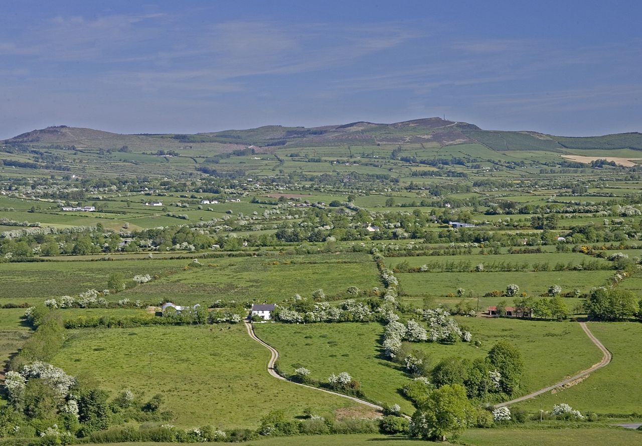 Heritage Council awards funding for rural hedgerow initiative